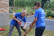 Day of Caring Events are record breaking!